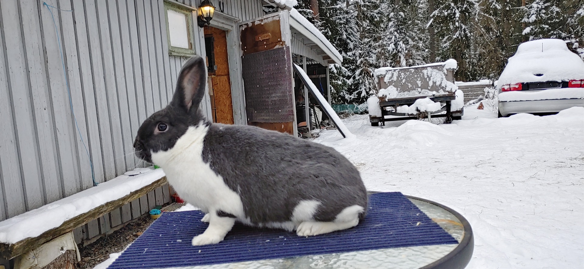 021 er ei blå hu jrg beholder.